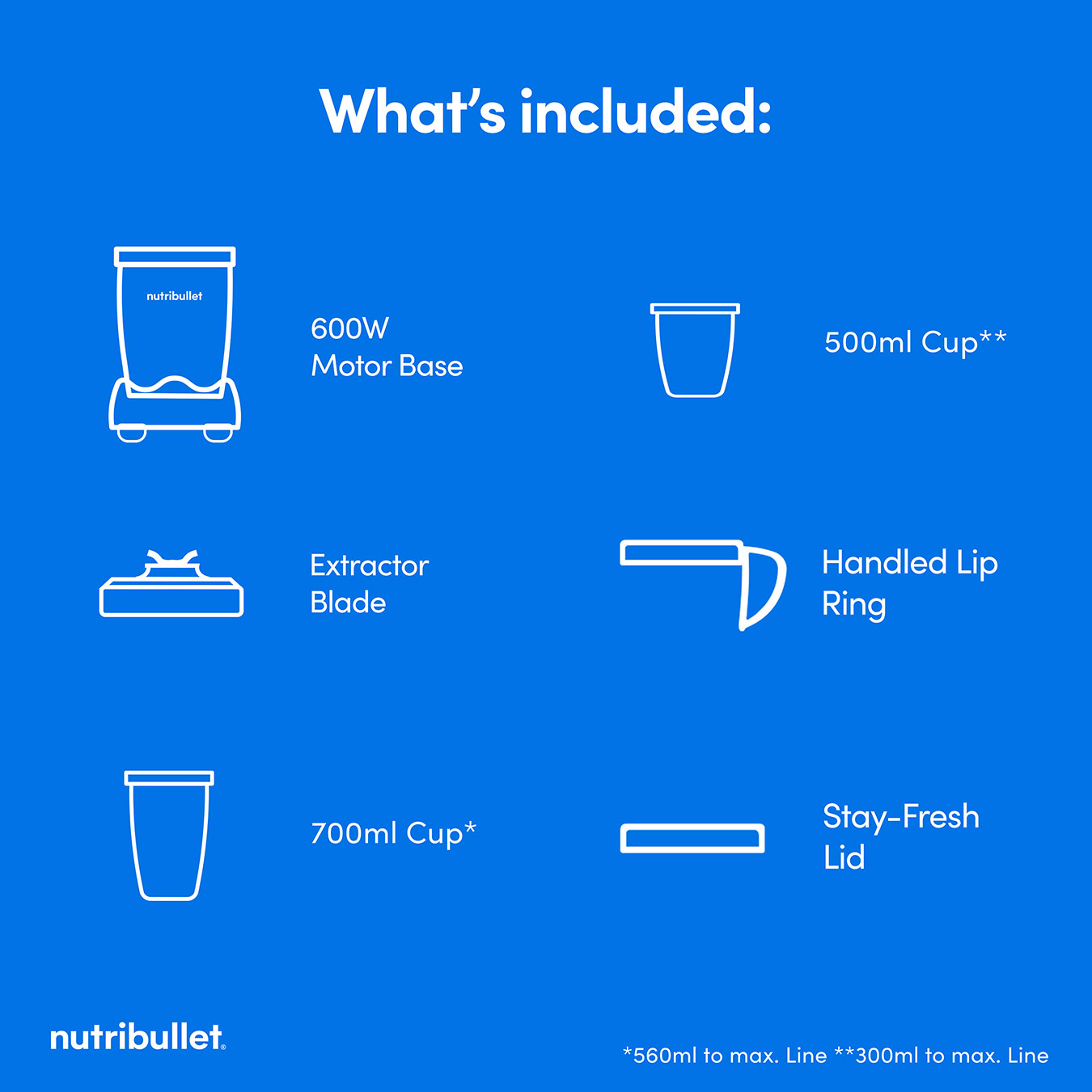 nutribullet 600 Series – Deluxe Kit